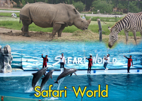 Safari World - SiamBangkokMap